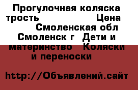 Прогулочная коляска-трость Jetem Picnic › Цена ­ 3 500 - Смоленская обл., Смоленск г. Дети и материнство » Коляски и переноски   